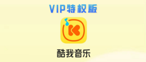 酷我音乐VIP特权版，强势解锁会员！-玩机公社