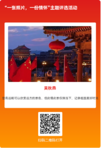 帮我投一票-玩机公社